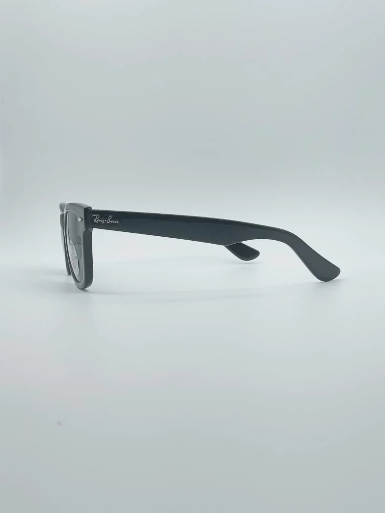 Polarized Wayfarer Sunglasses - Image 3